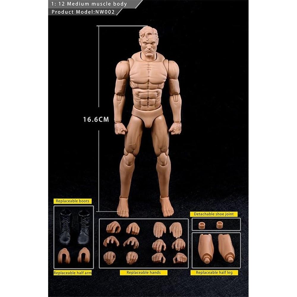 Fremego 1:12 Scale Male Action Figure 6-inch Muscular Handsome Solid Body Collectible Doll