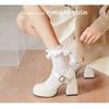 Fashion Block Heel Mary Jane Shoes Women's Round Toe 2025 New Small Super High Heel Single Shoes