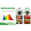 4/5/6 Pack Full Spectrum LED Grow Light with Seedling Tray Plant Seed Starter Trays Greenhouse Growing Lamp Hole 12 Cell Per Tray