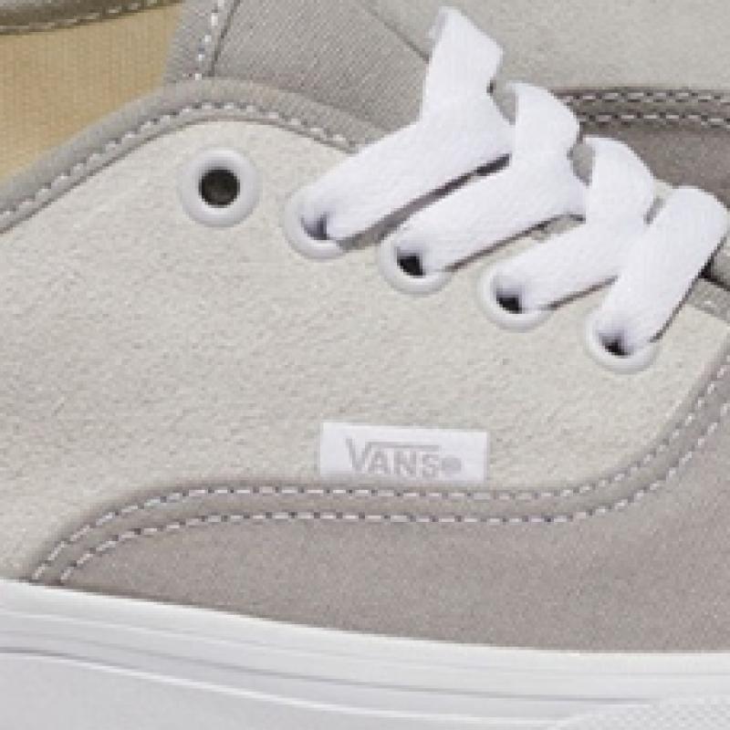 Vans Authentic   Canvas  Suede Block Grey Vn0a2z3zbxc1