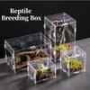 Reptile – Terarii pentru reptile