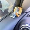 Sleeping Tom And Jerry Pillow Tom Cat Mouse Car Ornament Cute Desk Decorations Adorable Figurines Collectible Playful Ornaments