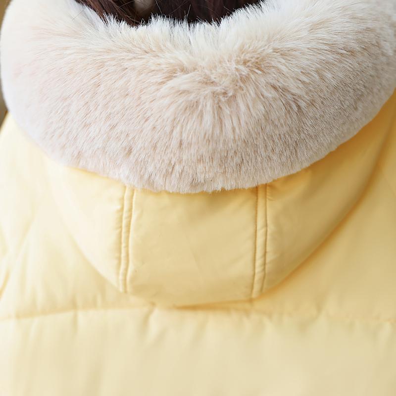 Warm Long Parkas Woman Overcoat Fashion Fur Collar Thick Warm Women's Winter Jackets