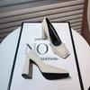2025 Spring Designer Women Pumps Fashion Shallow Slip On Shoes Ladies Comfort Outdoor High Heel Office Lady