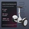 Ninebot MiniPro2 Self-Balancing Scooter with Handrail (CN version)