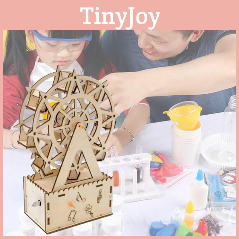 Wooden Diy Rotating Music Ferris Wheel Educational Steam Toy For Kids Customizable Material