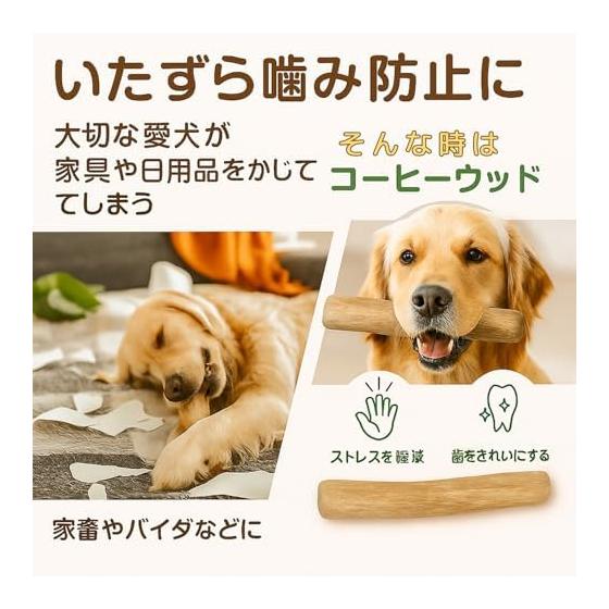 [Betogo] Set of 2 Coffee Wood Dog Chewing Toys Additive-Free 100% Natural Coffee Wood Natural Wood Wooden Sticks Dental Care Caffeine Free Durable