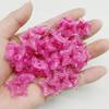 10PCS 21mm Transparent Hollow Out Pentagram Vertical Hole Bead Acrylic Straight Hole  Bead DIY Mobile Phone Chain Accessory