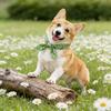 Pet Cooling Ice Scarf Cool Ice Breathable Towel Heatstroke Dogs Cats Ice Collar Cat Adjustable Collar Bibpet Supplies