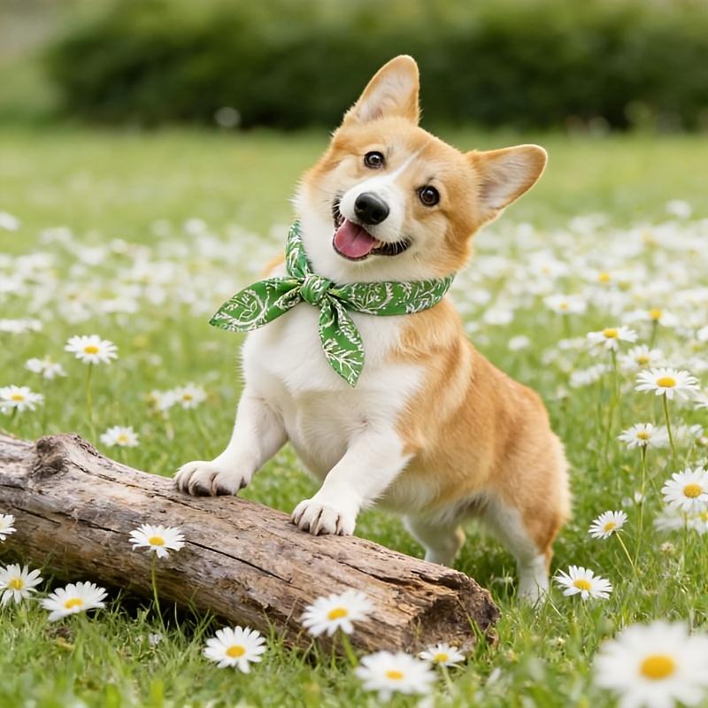 Pet Cooling Ice Scarf Cool Ice Breathable Towel Heatstroke Dogs Cats Ice Collar Cat Adjustable Collar Bibpet Supplies