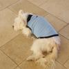 GOPE GOPE Dog Sleeveless Turtleneck NASB
