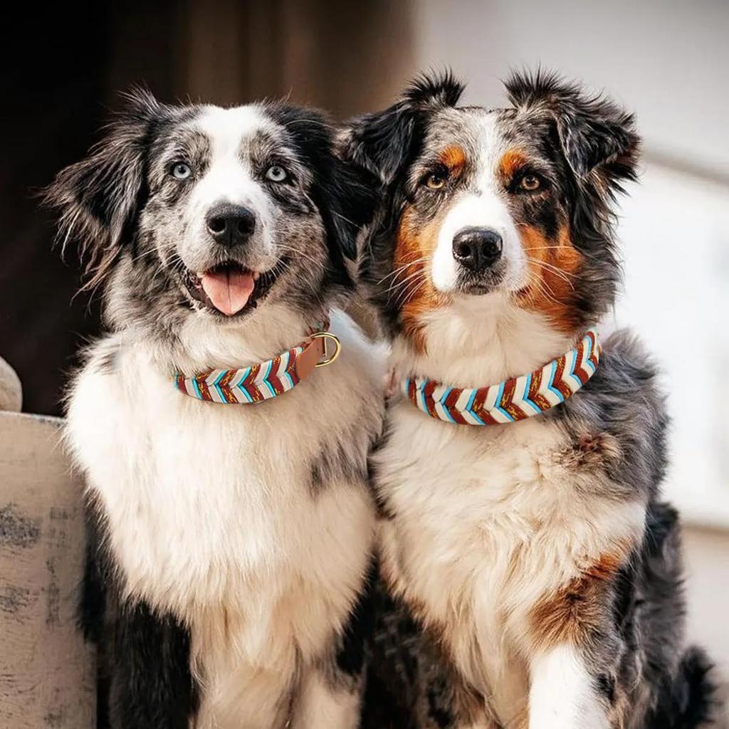 Fashion PVC Braided Luxury Adjustable Dog Collar & Leash with Print Pattern Ribbons Decoration Soft & Durable