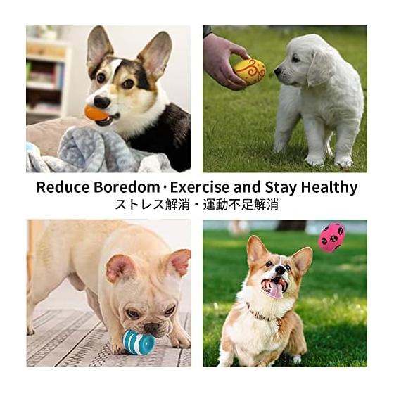 SCHITEC Dog Toys with Sound [Set of 6] Chew Toys for Stress Relief, Lack of Exercise, Egg Shape, Suitable for Puppies and Small Dogs