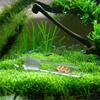 Fische & Meerestiere – Aquarienpflege