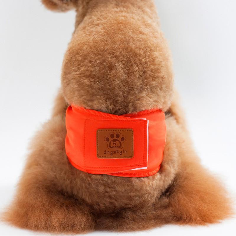 Male Dog Diaper Pants Waterproof Leak-Proof Absorbent Underwear Golden Retriever Large Breeds