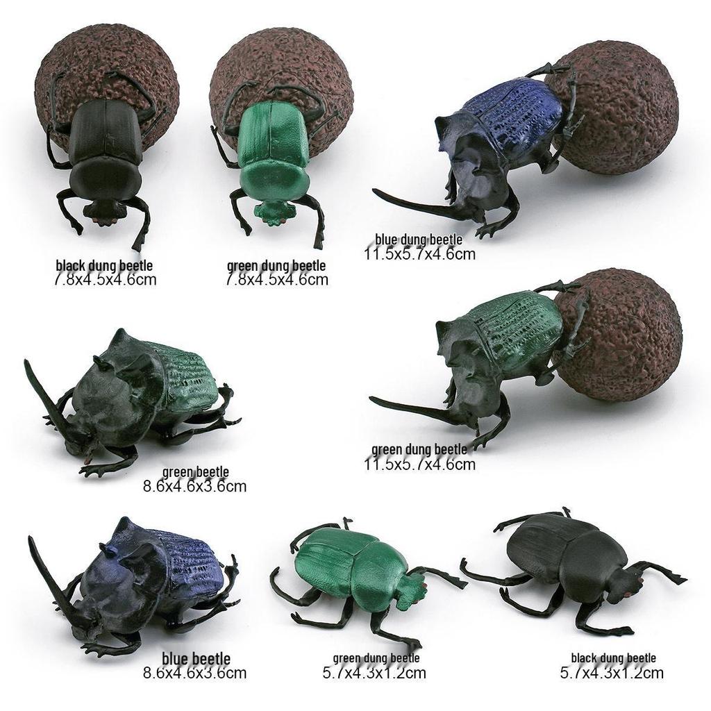 Cross-Border Insect Wildlife Dung Beetle Model: Children's Cognitive Sand Table Decoration