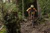 Continental MTB Tire Argotal Enduro Soft FB 27.5x2.40