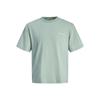 Tee shirt gray mist imprimé citron mykonos Homme