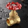 Genuine AMECO Thickened Brass Threaded Gate Valve for Hot/Cold High Temperature Water 169.