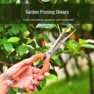 Stainless Steel Pruning Shears for Gardening, Bonsai, Grafting, and Fruit Picking