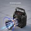 aigo T52 Lite Portable Karaoke Bluetooth Speaker CN plug (adapter included)