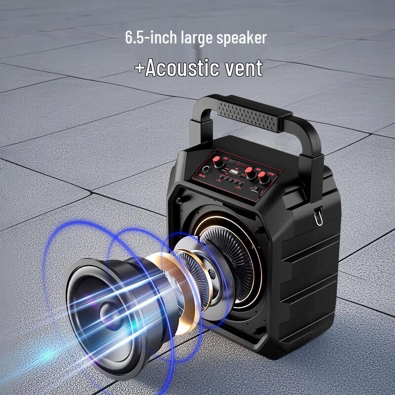 aigo T52 Lite Portable Karaoke Bluetooth Speaker CN plug (adapter included)