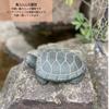 Figurine Turtle Turtle Stone Garden Gardening Hand Carved Lucky Charms Miscellaneous Small Gift Amulet Healing Outdoor Object Japanese Style Animal