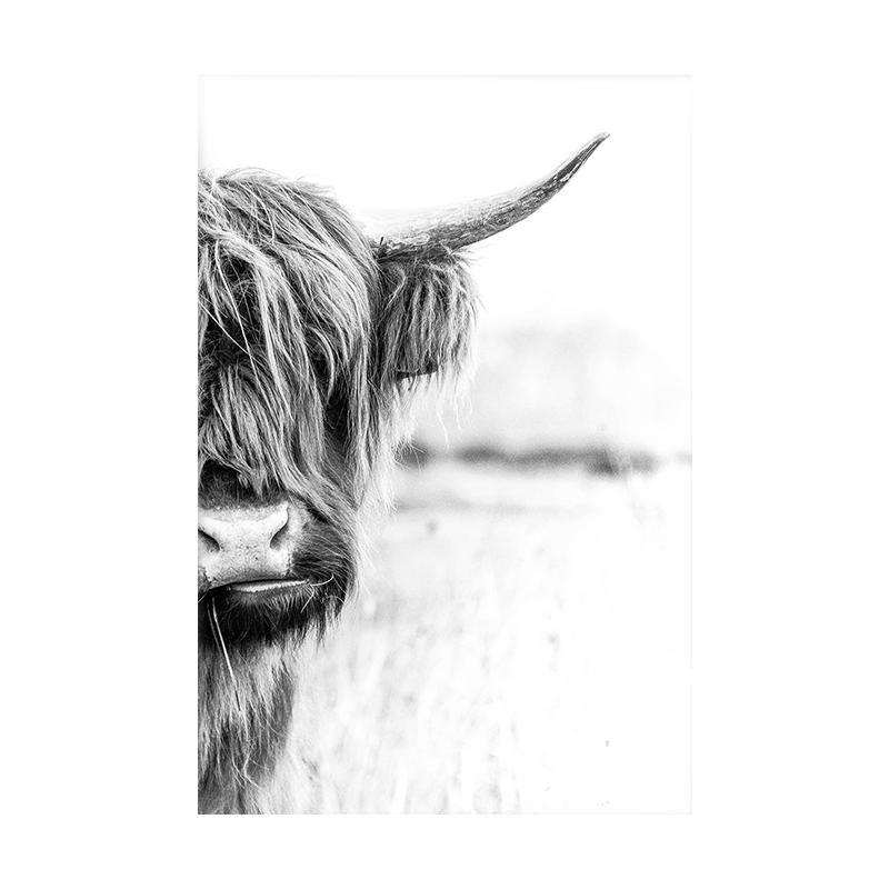 Animal Side Face Portrait Modern Wall Canvas Print Wild Life Art Poster Black and White Photo For Living Room Home Decor Cuadros