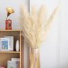 High-End Wabi-Sabi Dried Flower Decor: Natural Reeds & Wheat for Living Room or Homestay.