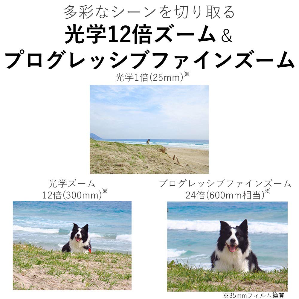 Canon IXY 650 Kompaktkamera Digital 12x Optisch Kompatibel, Schwarz, Zoom, Wi-Fi (IXY650BK-A)