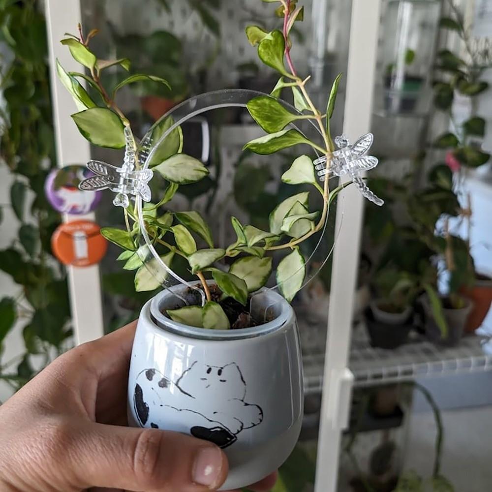 Weather-resistant Acrylic Plant Bracket Round Shape Climbing Plant Support  Outdoor Garden