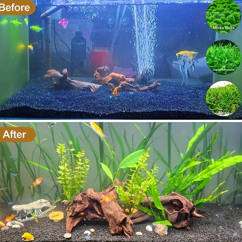 Legno di deriva naturale per decorazione di acquari e vasche per pesci