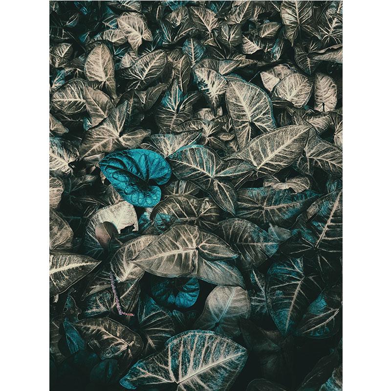 Modern Nature Canvas Painting Green Leaves Paintings Plant Pictures Tree Posters Prints for Living Room Decor Cuadros Wall Art