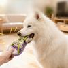 Hundespielzeug mit Sprachfunktion, Leinenschuhe, robuste Hausschuhe mit Seilknoten zum Zähneknirschen, Haustierspielzeug, Spielzeug zur Selbstbeschäftigung und gegen Langeweile