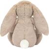 Jellycat Easter Series Petals Floral Bonnie Rabbit Cute Doll Plush Doll Sitting Height 15cm/23cm/38cm Height
