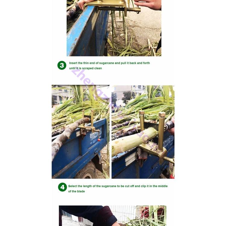Manual Sugarcane Peeling Machine Manual Sugarcane Peelers Sugar Cane Peeler Sugar Cane Peeler Tools