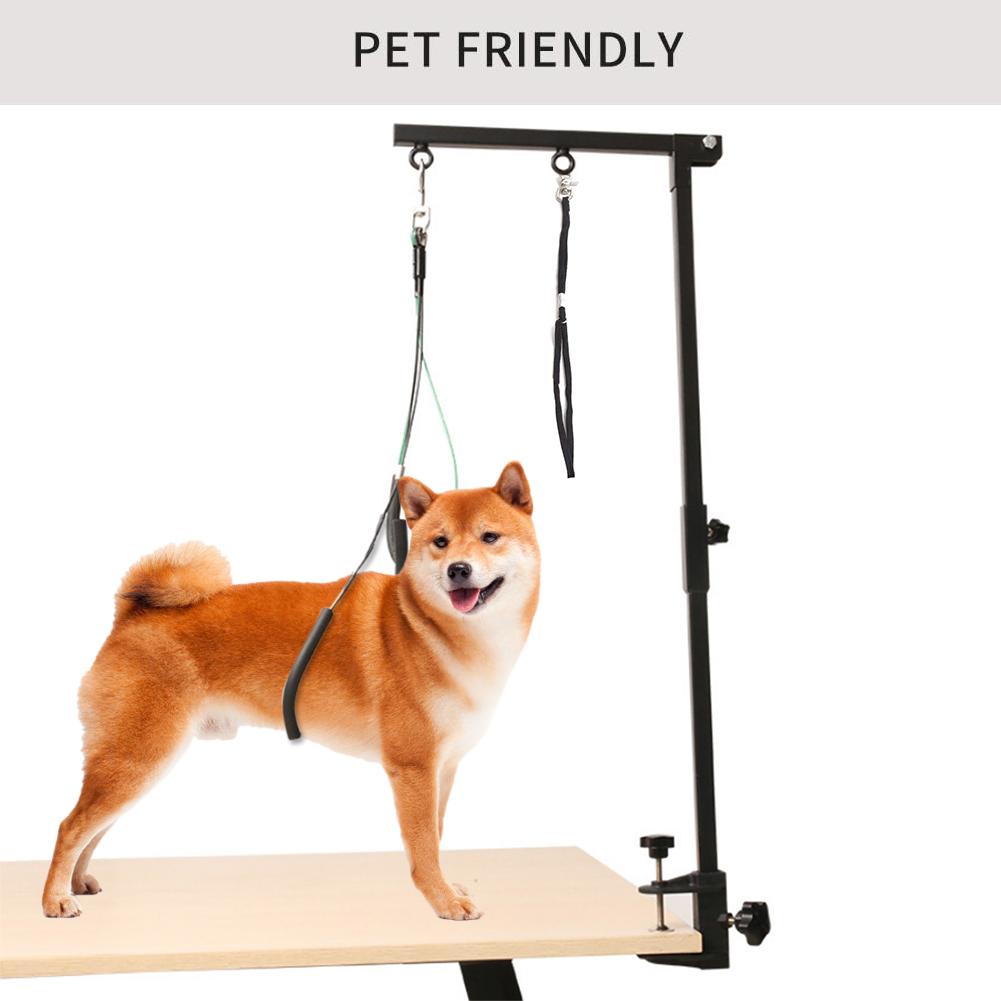 medium to small sized dogs