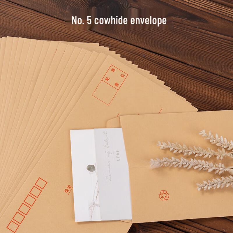 Deli Kraft Envelopes, Size 5, 20-Count