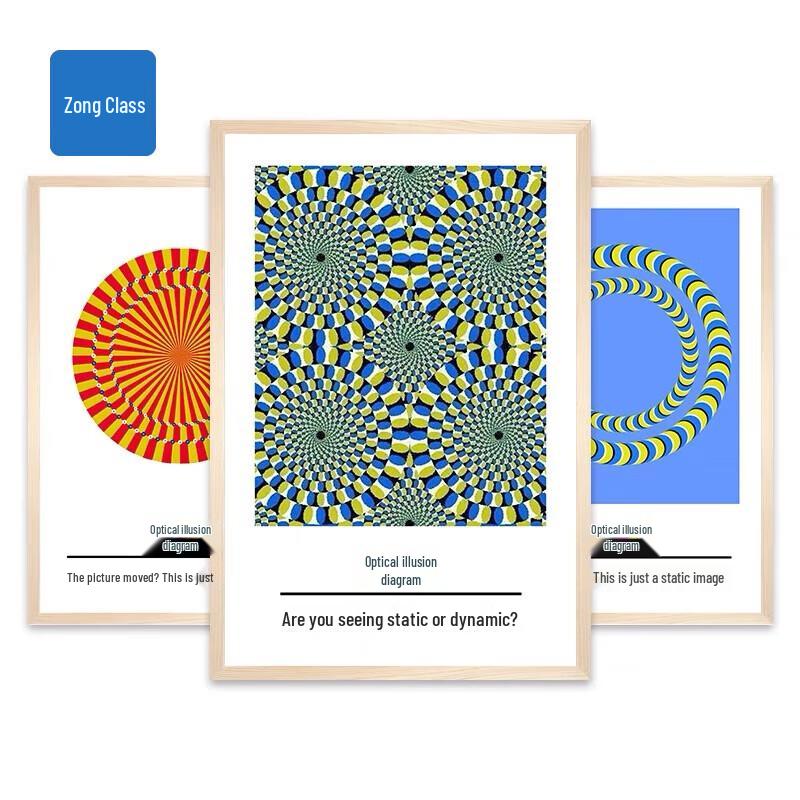 Abstract Optical Illusion Decorative Poster