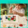 Archaeological Dig Diy Kit Gemstones Fossils For Kids Educational Play Treasure