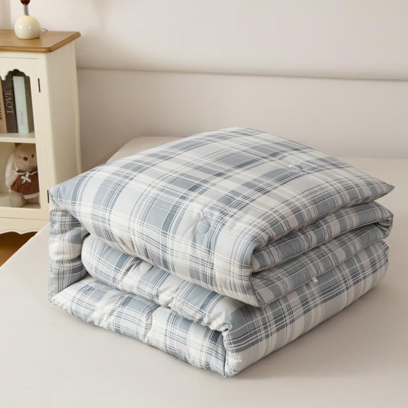Muji Home Pro 2.0 Polyester Protein Winter Quilt