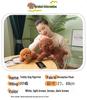 Cute Teddy Dog Plush: Soothing Small Dog Doll for Sleeping & Hugging