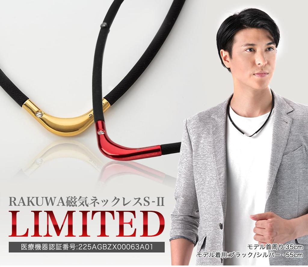 phiten RAKUWA Magnetic Titanium Necklace 55cm and Neck and Neck Blood Men and Women S- Black/Silver [Shoulder Relief] [Stiffness Relief] [Stiffness