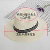 Summer Season Big Brim Straw Hat Sunshade Sun Protection Top Hat Jazz Hat Beach Travel Men's Middle-aged Net Hat