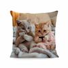 Colorful Bohemian Short Plush Pillowcase 45x45cm Adorable Kitten Living Room Bedroom Decor (Pillow Insert Not Included)