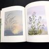 [USED] Masae Kuwano Collection, 2-volume set: "The Music of Pressed Flowers" and "Pressed Landscapes" at Hita Pressed Flower Museum