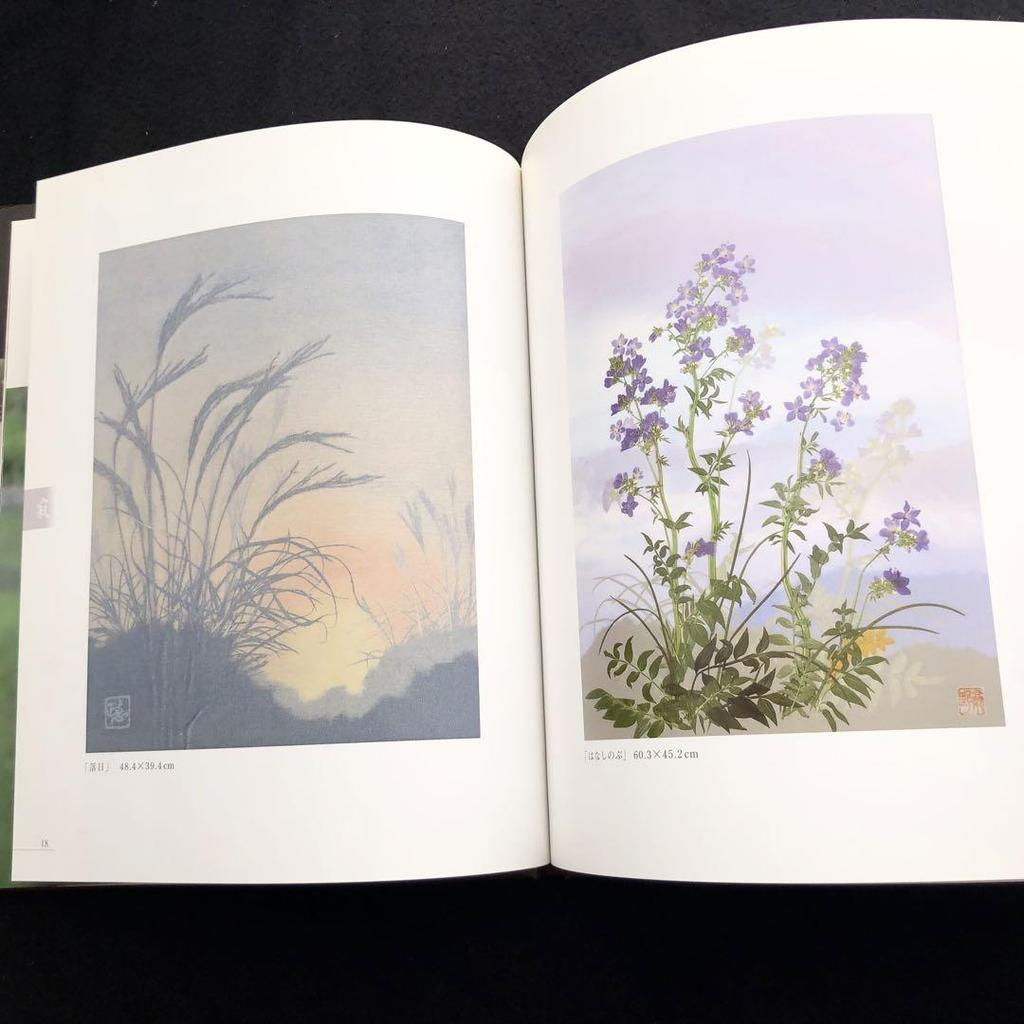 [USED] Masae Kuwano Collection, 2-volume set: "The Music of Pressed Flowers" and "Pressed Landscapes" at Hita Pressed Flower Museum