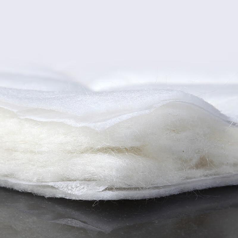 Mengjie Cozy All-Season Polyester Quilt