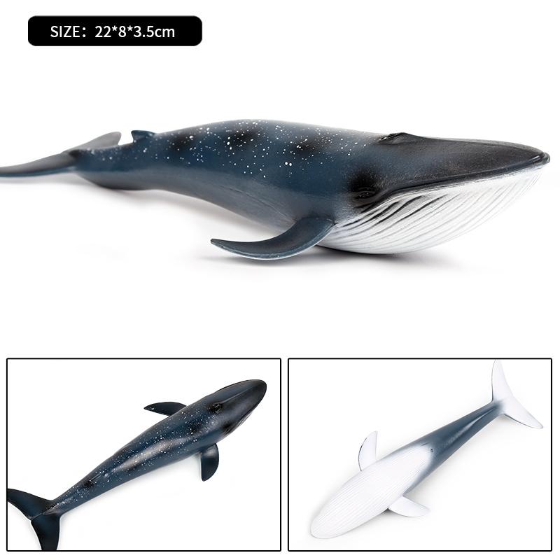 Oenux Ocean Animal Savage Megalodon Beluga Big Shark Orca Sperm Blue Whale Action Figures Sea Life Model Educational Kids Toy