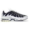 Nike Air Max Plus White Black Metallic Pewter CT1094-102